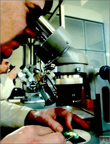 Microscope2.jpg